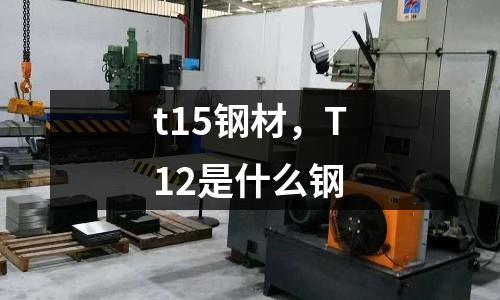 t15鋼材,T12是什么鋼
