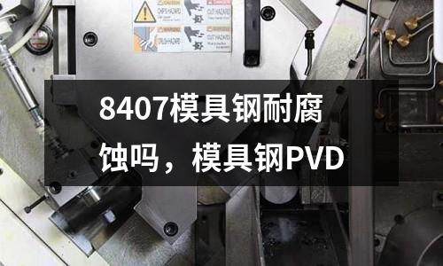 8407模具鋼耐腐蝕嗎，模具鋼P(yáng)VD