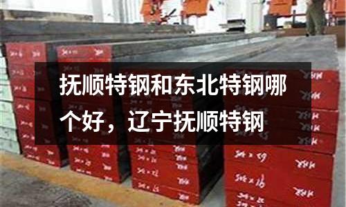 撫順特鋼和東北特鋼哪個好，遼寧撫順特鋼