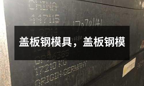 蓋板鋼模具,蓋板鋼模