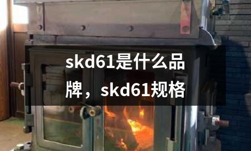 skd61是什么品牌,skd61規格