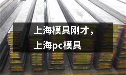 上海模具剛才,上海pc模具