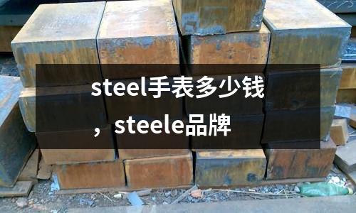 steel手表多少錢,steele品牌