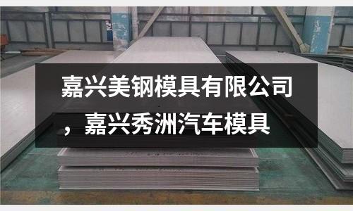 嘉興美鋼模具有限公司，嘉興秀洲汽車模具