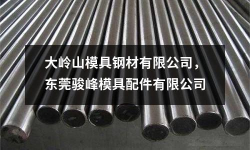 大嶺山模具鋼材有限公司,東莞駿峰模具配件有限公司