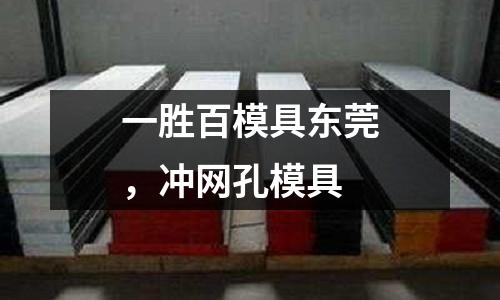 一勝百模具東莞，沖網孔模具