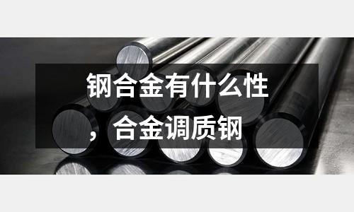 鋼合金有什么性，合金調(diào)質(zhì)鋼