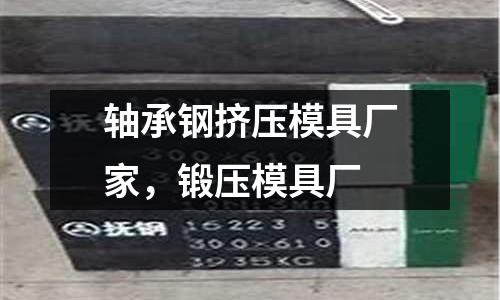 軸承鋼擠壓模具廠家，鍛壓模具廠