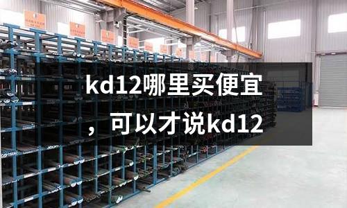 kd12哪里買便宜，可以才說kd12