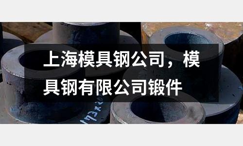 上海模具鋼公司，模具鋼有限公司鍛件