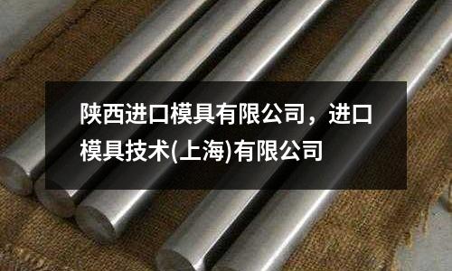 陜西進口模具有限公司，進口模具技術(上海)有限公司