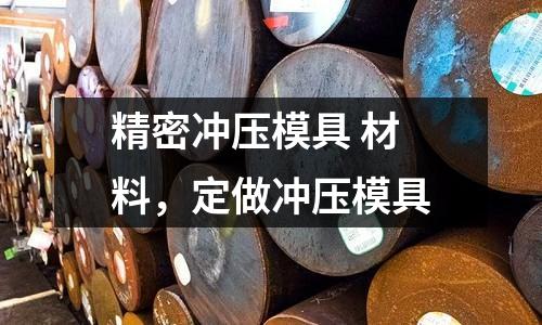 精密沖壓模具 材料,定做沖壓模具