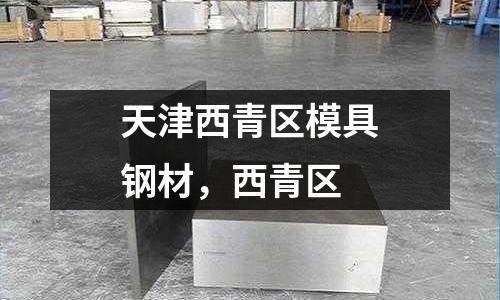 天津西青區(qū)模具鋼材,西青區(qū)