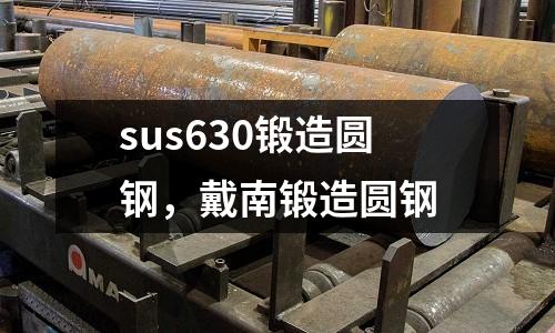 sus630鍛造圓鋼，戴南鍛造圓鋼