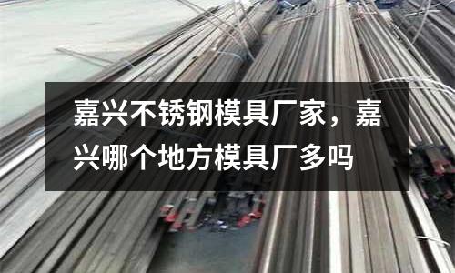 嘉興不銹鋼模具廠家，嘉興哪個地方模具廠多嗎