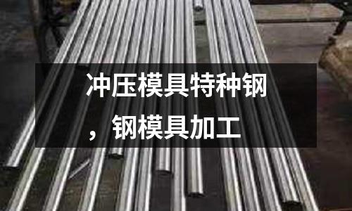 沖壓模具特種鋼,鋼模具加工