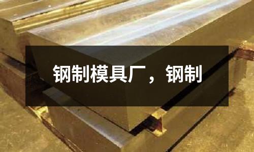鋼制模具廠,鋼制