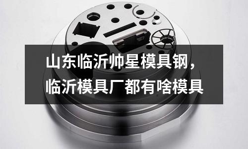 山東臨沂帥星模具鋼,臨沂模具廠都有啥模具