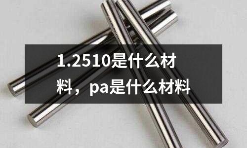 1.2510是什么材料，pa是什么材料