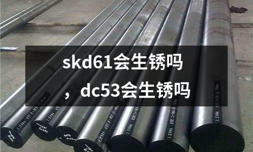 skd61會生銹嗎，dc53會生銹嗎