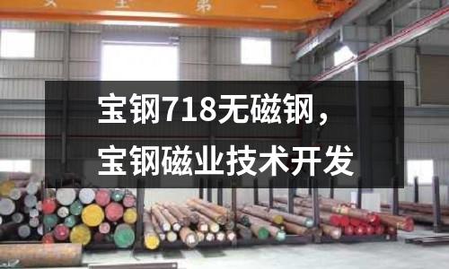 寶鋼718無磁鋼，寶鋼磁業技術開發