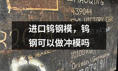 進(jìn)口鎢鋼模，鎢鋼可以做沖模嗎