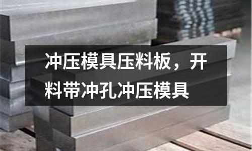 沖壓模具壓料板，開料帶沖孔沖壓模具