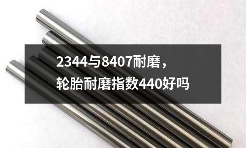 2344與8407耐磨，輪胎耐磨指數440好嗎
