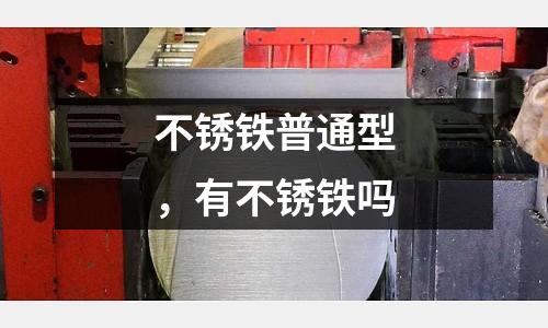 不銹鐵普通型，有不銹鐵嗎