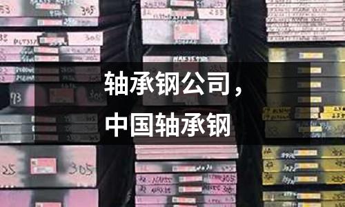 軸承鋼公司,中國軸承鋼