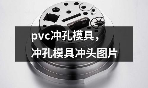 pvc沖孔模具,沖孔模具沖頭圖片
