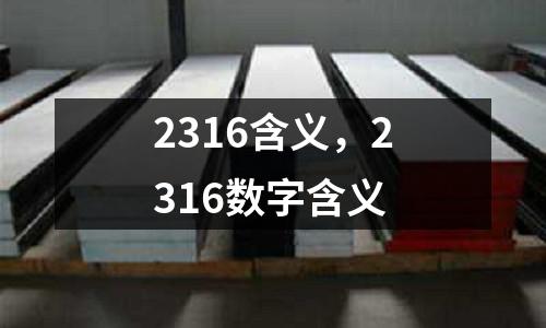 2316含義，2316數字含義