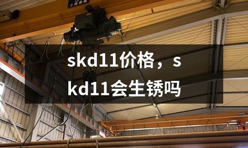 skd11價格，skd11會生銹嗎