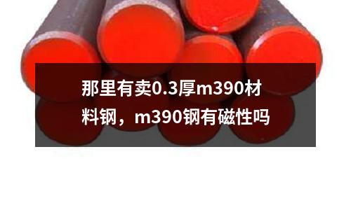 那里有賣0.3厚m390材料鋼，m390鋼有磁性嗎