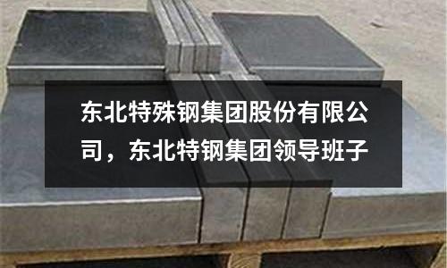 東北特殊鋼集團股份有限公司，東北特鋼集團領導班子