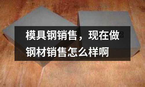 模具鋼銷售，現在做鋼材銷售怎么樣啊