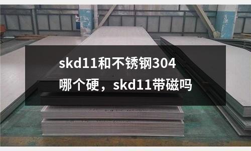 skd11和不銹鋼304哪個硬，skd11帶磁嗎