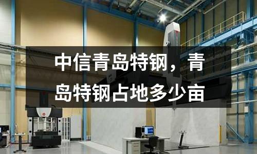 中信青島特鋼,青島特鋼占地多少畝