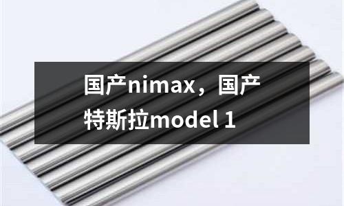 國產nimax，國產特斯拉model 1