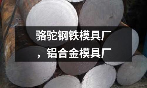 駱駝鋼鐵模具廠，鋁合金模具廠