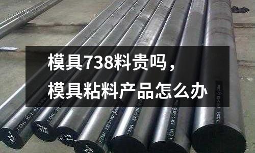 模具738料貴嗎，模具粘料產品怎么辦