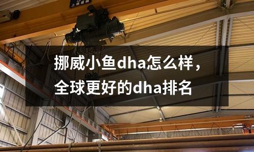 挪威小魚dha怎么樣，全球更好的dha排名