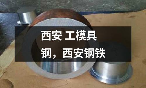 西安 工模具鋼，西安鋼鐵