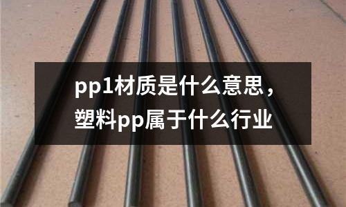 pp1材質是什么意思，塑料pp屬于什么行業