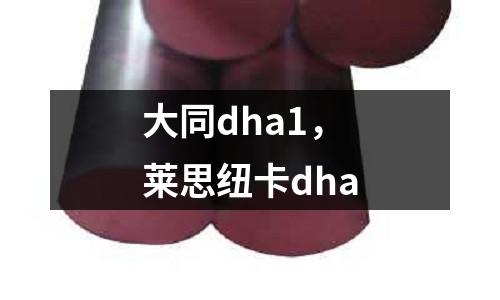 大同dha1,萊思紐卡dha