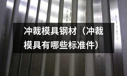 沖裁模具鋼材（沖裁模具有哪些標準件）