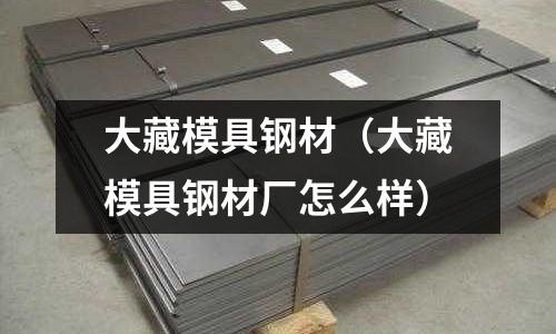 大藏模具鋼材(大藏模具鋼材廠怎么樣)
