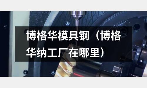 博格華模具鋼（博格華納工廠在哪里）