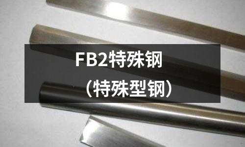 FB2特殊鋼（特殊型鋼）