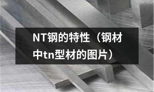 NT鋼的特性（鋼材中tn型材的圖片）